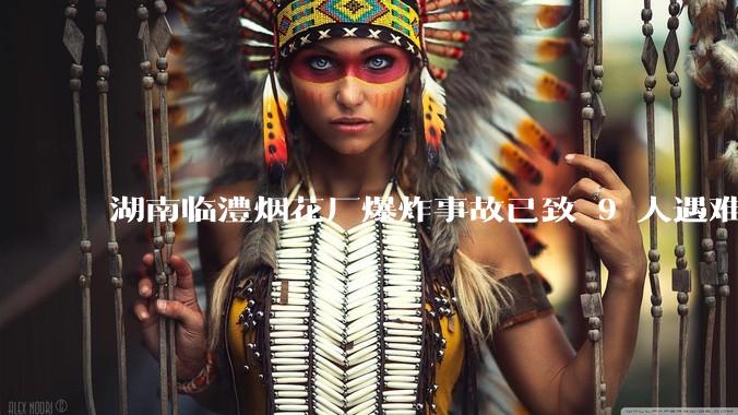 湖南临澧烟花厂爆炸事故已致 9 人遇难 26 人受伤，事故原因可能是什么？厂方要承担哪些法律责任？