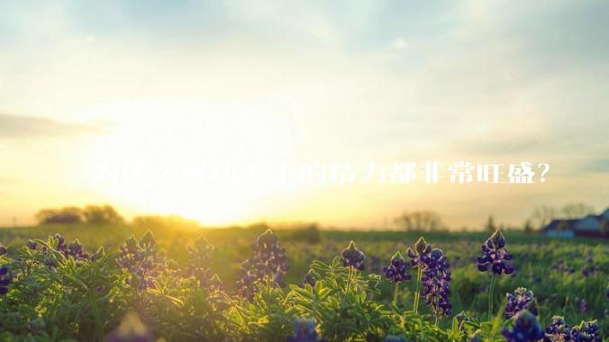 为什么成功人士的精力都非常旺盛？